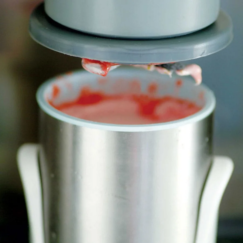 Frix Air Mousse And Sorbet Machine